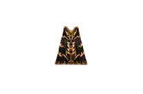 Cloak of Warrior